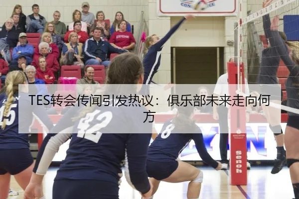 TES转会传闻引发热议：俱乐部未来走向何方