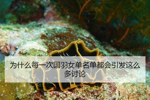 为什么每一次国羽女单名单都会引发这么多讨论